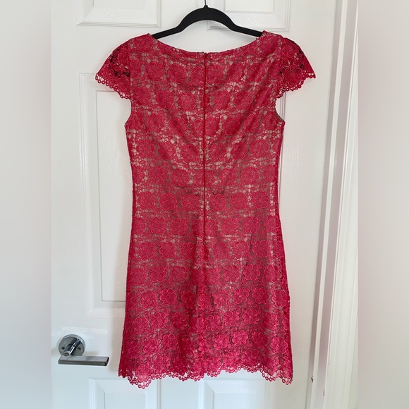 Lace mini dress - Picture 4 of 6